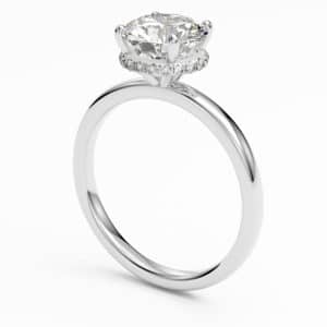 Platinum Hidden Halo Claw set round brillint cut engagement ring